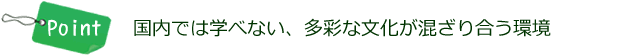 国内では学べない、多彩な文化が混ざり合う環境